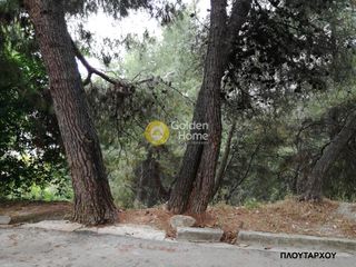 Οικόπεδο 935 τ.μ. προς πώληση