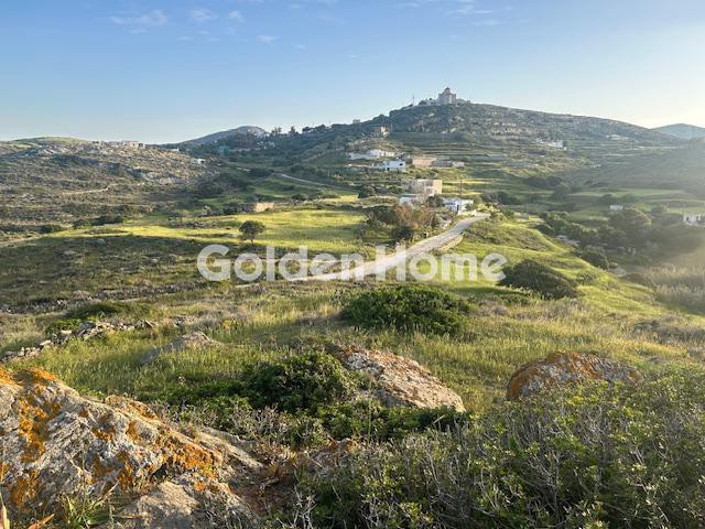 Αγροτεμάχια 7.125 τ.μ. προς πώληση, Ερμούπολη