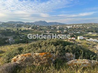 Αγροτεμάχια 7.125 τ.μ. για πώληση