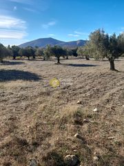 Αγροτεμάχια 4.286 τ.μ. για πώληση