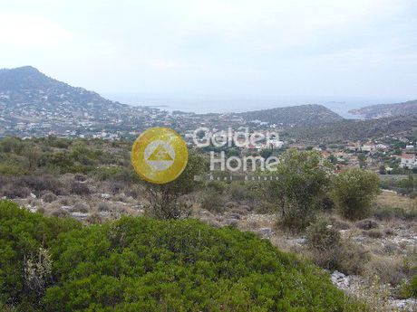 Οικόπεδο 20.000 τ.μ. για πώληση