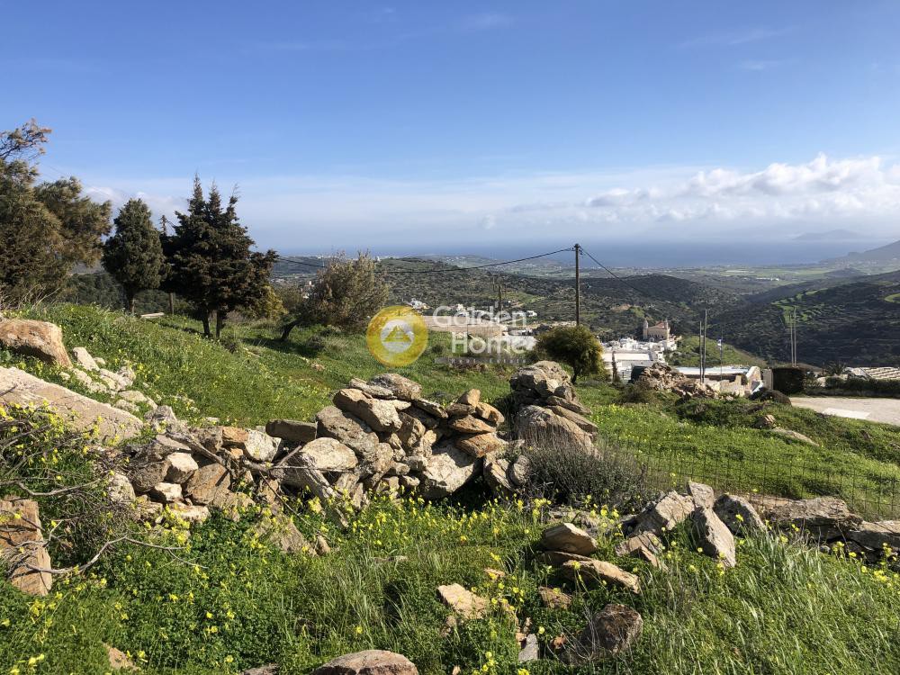Οικόπεδο 3.732 τ.μ. προς πώληση, Λεύκες Πάρου