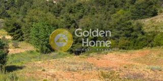 Οικόπεδο 1.412 τ.μ. για πώληση
