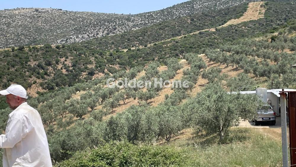 Οικόπεδο 100.000 τ.μ. προς πώληση, Λαφιώτικα