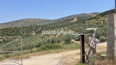 Land plot 100.000 sqm for sale
