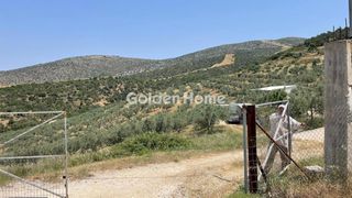 Οικόπεδο 100.000 τ.μ. για πώληση