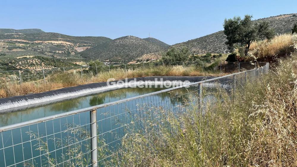 Οικόπεδο 100.000 τ.μ. προς πώληση, Λαφιώτικα