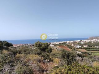 Οικόπεδο 6.500 τ.μ. για πώληση