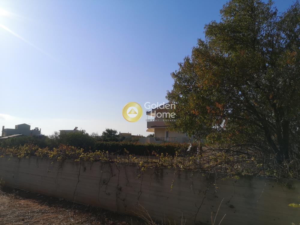 Οικόπεδο 1.000 τ.μ. προς πώληση, Λαγονήσι