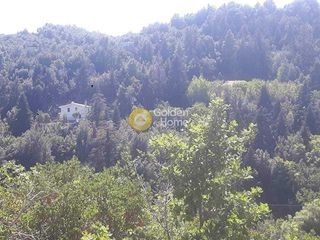 Οικόπεδο 700 τ.μ. για πώληση, Εύβοια, Αμάρυνθος-thumb-4