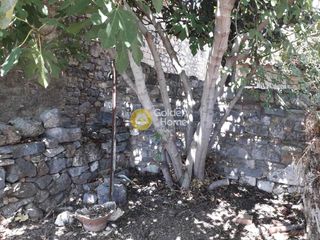 Οικόπεδο 357 τ.μ. πρός πώληση, Εύβοια, Κονίστρες-thumb-8
