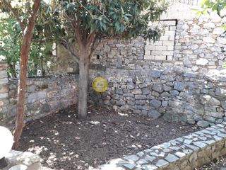 Οικόπεδο 357 τ.μ. πρός πώληση, Εύβοια, Κονίστρες-thumb-9