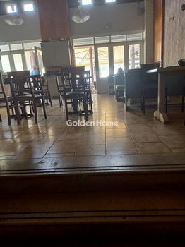 Business 480 sqm for sale