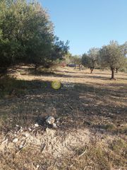 Αγροτεμάχια 4.174 τ.μ. για πώληση