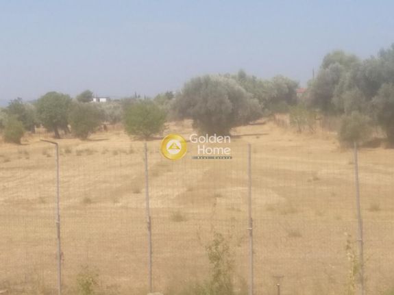 Land plot 4.750 sqm for sale, Evia, Eretria