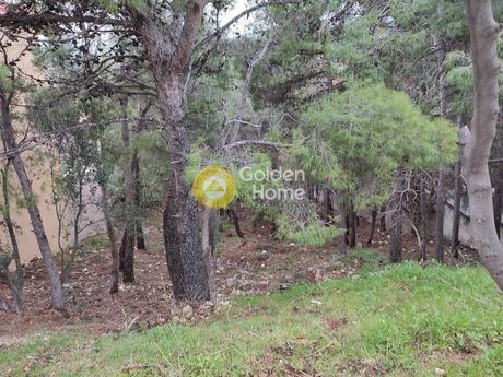 Land plot 1.043sqm for sale-Acharnes » Thrakomakedones