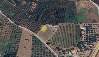 Αγροτεμάχια 3.500 τ.μ. για πώληση, Αρκαδία, Τρόπαια-thumb-1