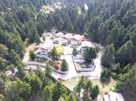 Apartment complex 700sqm for sale-Parnassos » Eptalofos