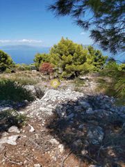 Οικόπεδο 1.000 τ.μ. για πώληση