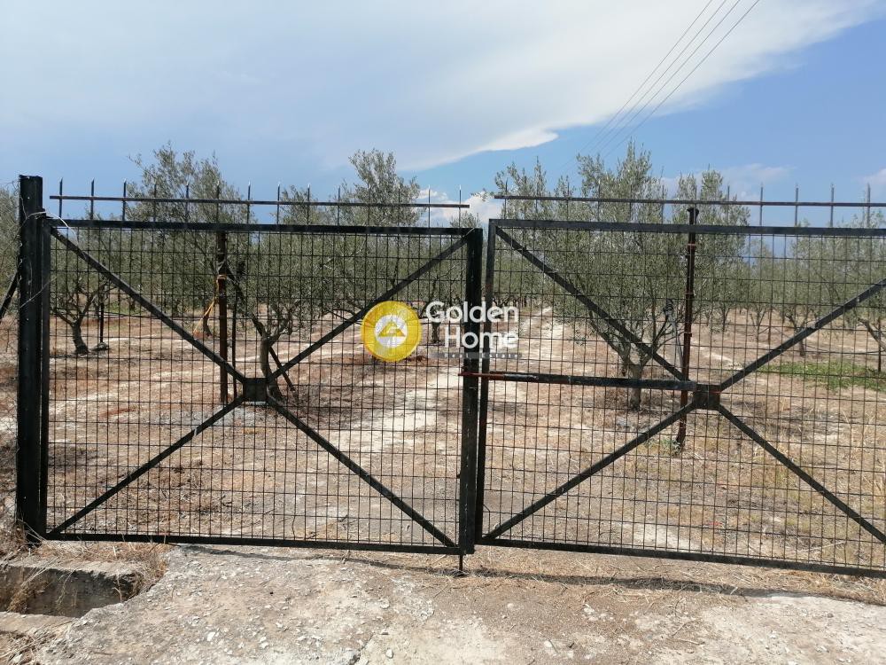 Οικόπεδο 1.210 τ.μ. προς πώληση, Αθίκια