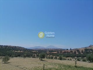 Οικόπεδο 14.924 τ.μ. για πώληση