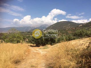 Αγροτεμάχια 8.000 τ.μ. για πώληση, Αχαΐα, Μεσσατίδα-thumb-1