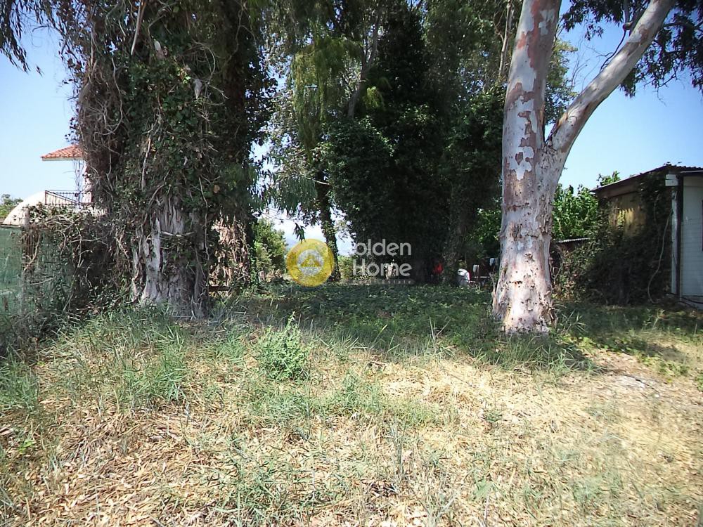 Οικόπεδο 970 τ.μ. πρός πώληση, Αχαΐα, Αίγιο