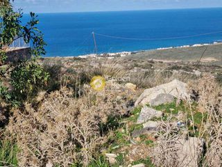 Οικόπεδο 4.600 τ.μ. για πώληση