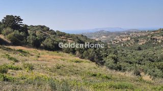 Οικόπεδο 3.560 τ.μ. για πώληση