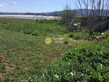 Αγροτεμάχια 5.500τ.μ. για πώληση-Θέρμη » Βασιλικά » Κέντρο