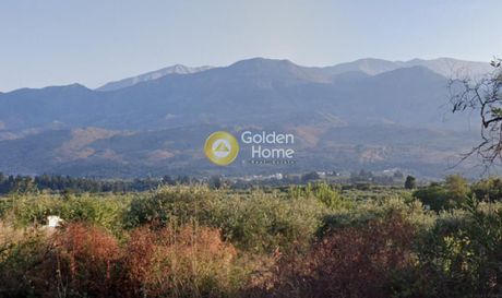 Οικόπεδο 2.746τ.μ. για πώληση-Φρέ » Άγιοι πάντες