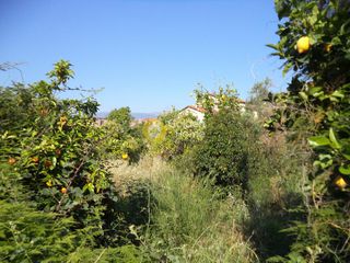 Οικόπεδο 5.200 τ.μ. για πώληση, Αχαΐα, Αίγιο-thumb-4