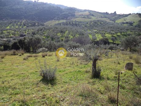 Οικόπεδο 2.200τ.μ. για πώληση-Αίγιο » Άγιος νικόλαος