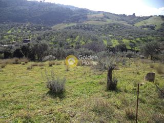 Οικόπεδο 2.200 τ.μ. για πώληση