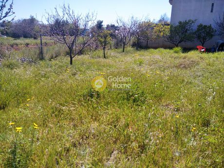 Οικόπεδο 504τ.μ. για πώληση-Αρτέμιδα (λούτσα) » Μεσοβάρδα