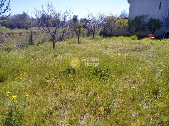 Land plot 504 sqm for sale, Athens - East, Artemida (loutsa)