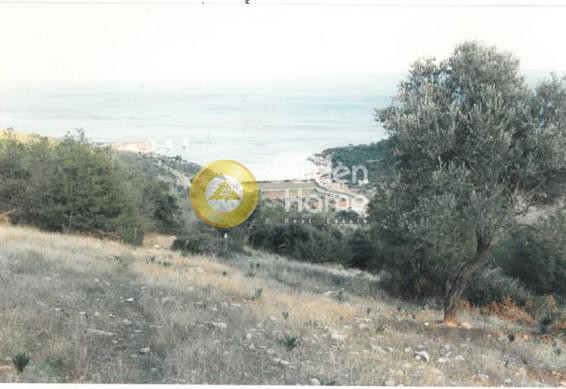 Αγροτεμάχια 12.000 τ.μ. προς πώληση, Καβαλλιανή