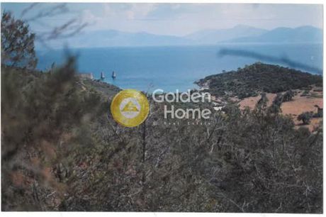Αγροτεμάχια 12.000 τ.μ. για πώληση