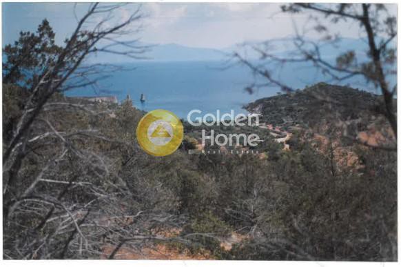 Αγροτεμάχια 12.000 τ.μ. προς πώληση, Καβαλλιανή