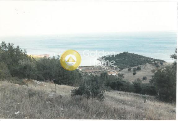 Αγροτεμάχια 12.000 τ.μ. προς πώληση, Καβαλλιανή