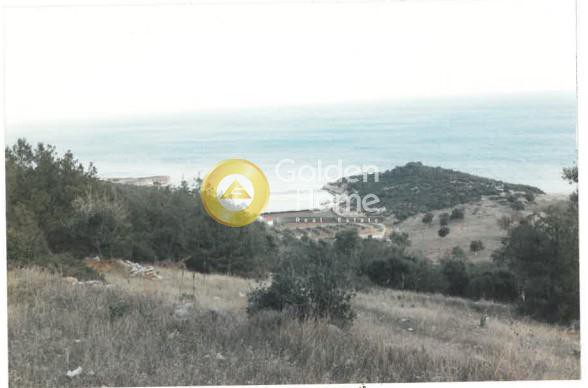 Αγροτεμάχια 12.000 τ.μ. προς πώληση, Καβαλλιανή