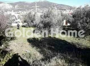 Οικόπεδο 330 τ.μ. για πώληση