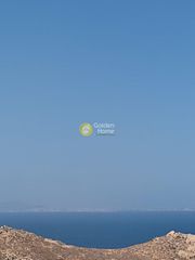 Αγροτεμάχια 10.000 τ.μ. για πώληση