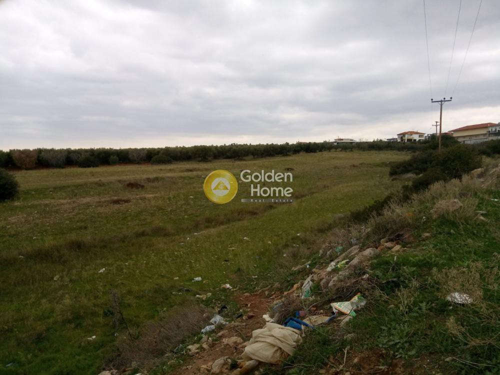 Αγροτεμάχια 8.750 τ.μ. προς πώληση, Νέα Τρίγλια