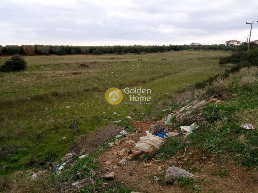Αγροτεμάχια 8.750 τ.μ. προς πώληση, Νέα Τρίγλια