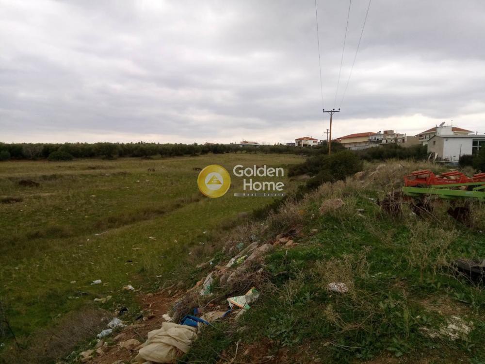 Αγροτεμάχια 8.750 τ.μ. προς πώληση, Νέα Τρίγλια