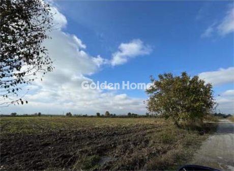 Parcel 8.100sqm for sale-Dion » Nea Efesos