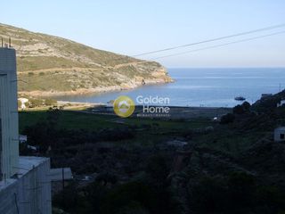 Αγροτεμάχια 4.000 τ.μ. για πώληση