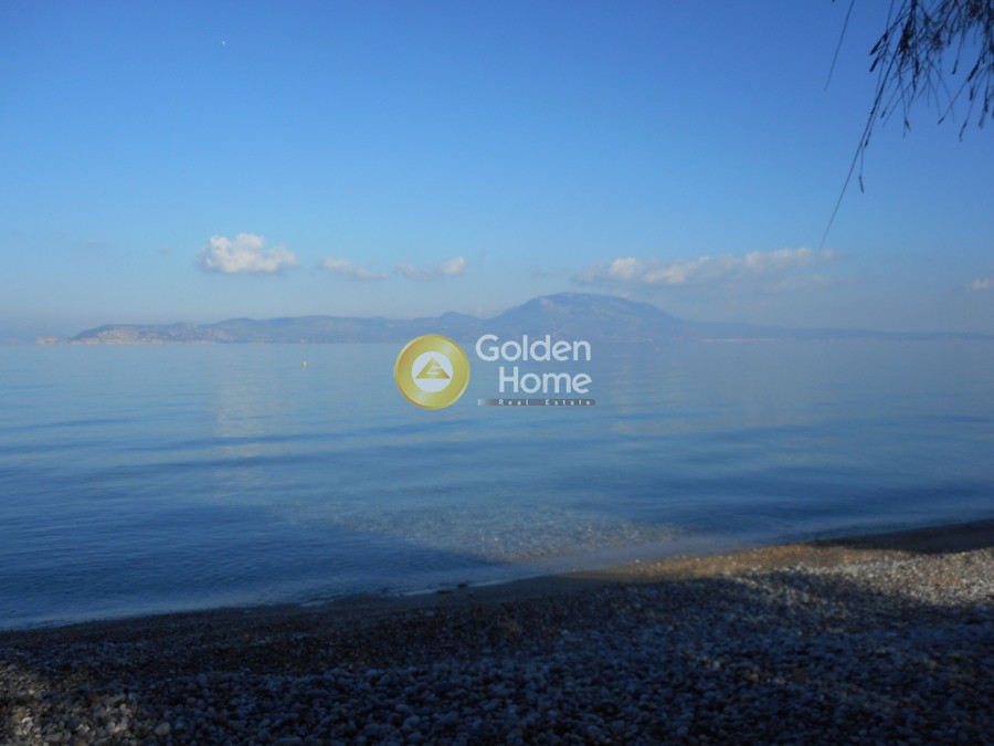 Μονοκατοικία 503 τ.μ. προς πώληση, Νεράντζα