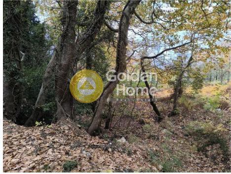 Οικόπεδο 2.478 τ.μ. πρός πώληση, Μαγνησία, Αφέτες